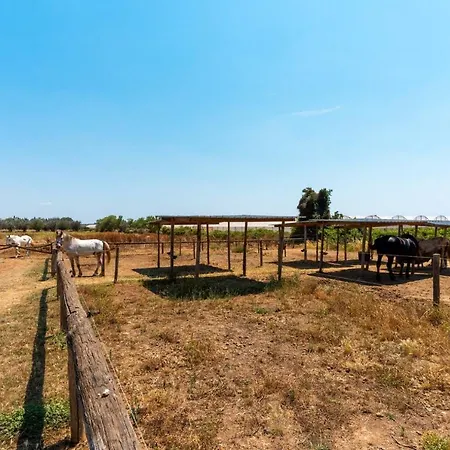 Casato Calabrese Nardò